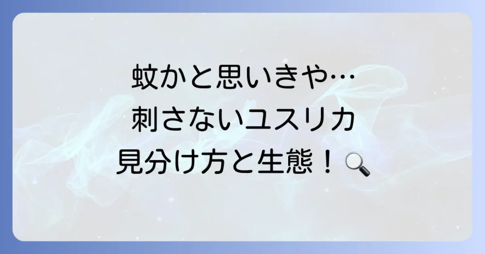そもそもユスリカってどんな虫?蚊との違いは?