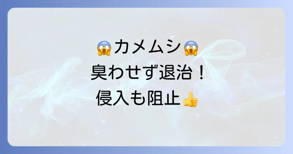 【悪臭対策】カメムシの殺し方｜臭わせずに退治する即効性のある方法と侵入防止策を徹底解説