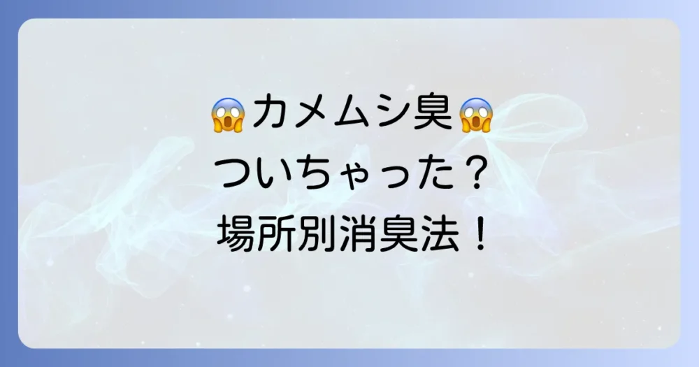 もし臭いがついてしまったら？場所別の消臭方法