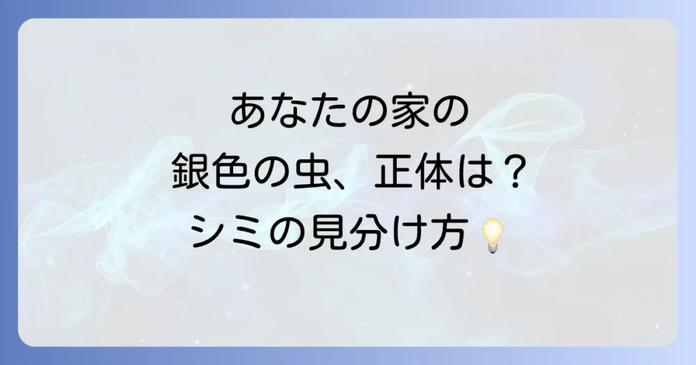もしかしてこの虫…？害虫「シミ（紙魚）」の特徴と見分け方