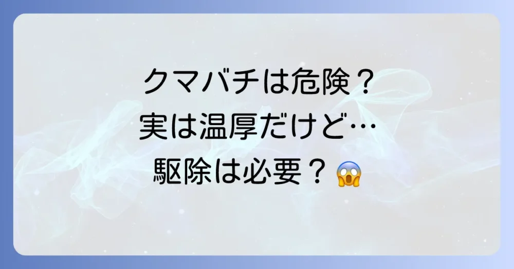 クマバチは危険？本当に駆除は必要なの？