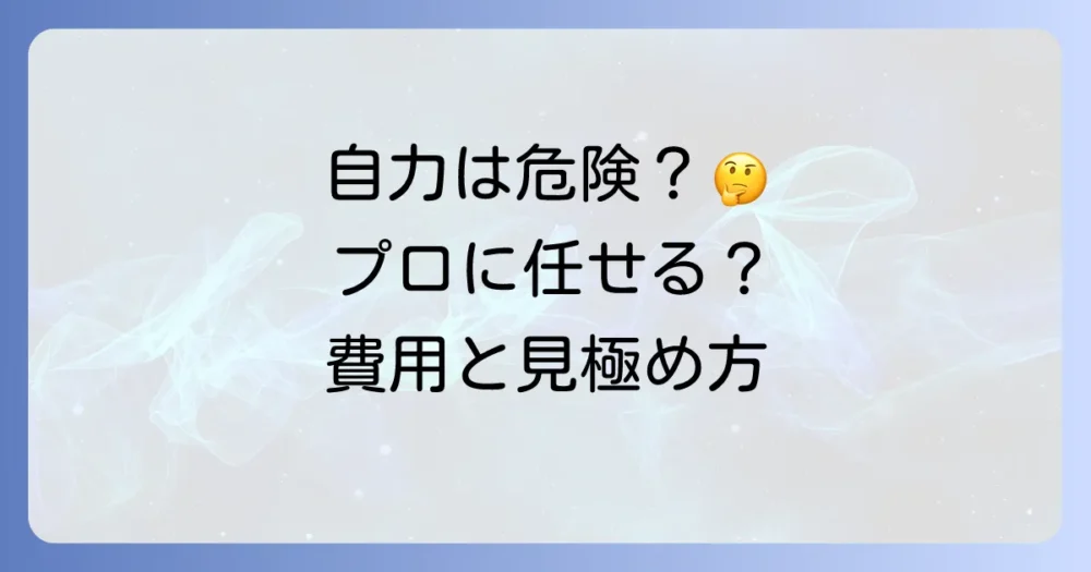 自力での駆除は危険？専門業者に依頼する判断基準と費用相場