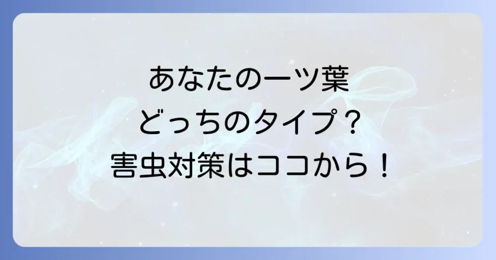 一ツ葉に害虫？まずは2つの可能性をチェック