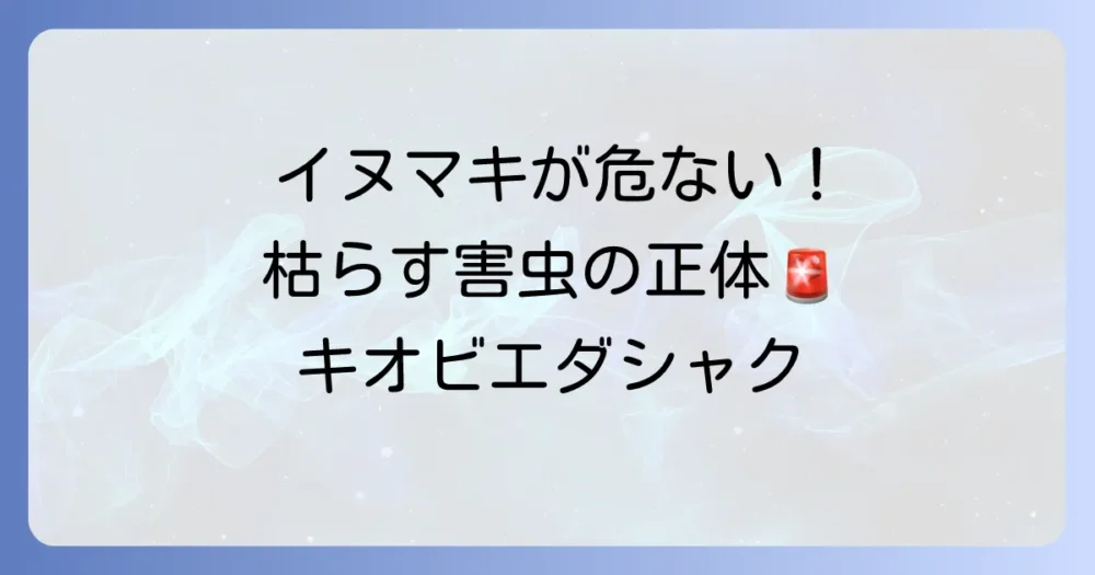 【要注意】庭木のイヌマキ（ヒトツバ）を枯らす「キオビエダシャク」
