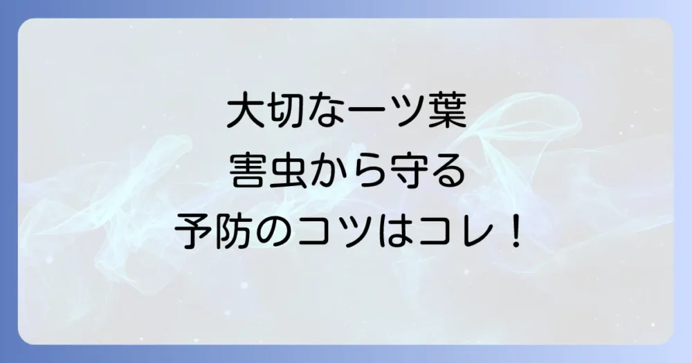 【重要】一ツ葉を害虫から守る！今日からできる予防策