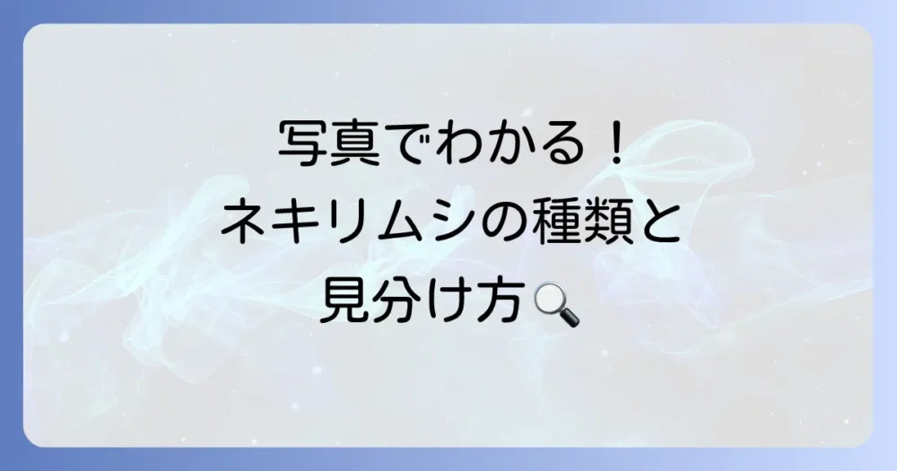 【写真で比較】ネキリムシの主な種類と見分け方
