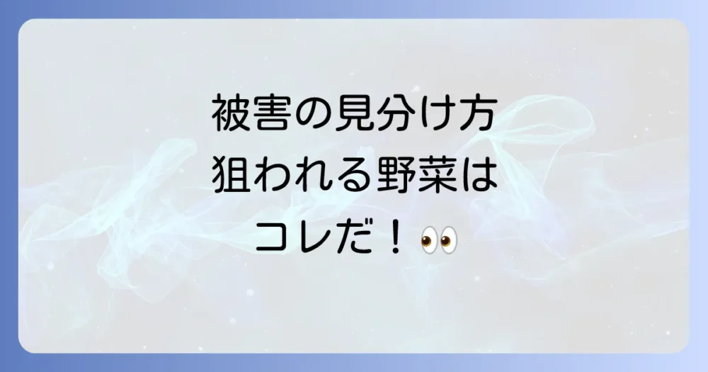 ネキリムシによる被害のサインと被害に遭いやすい野菜