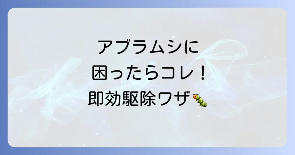 今すぐできる!菊のアブラムシ駆除方法