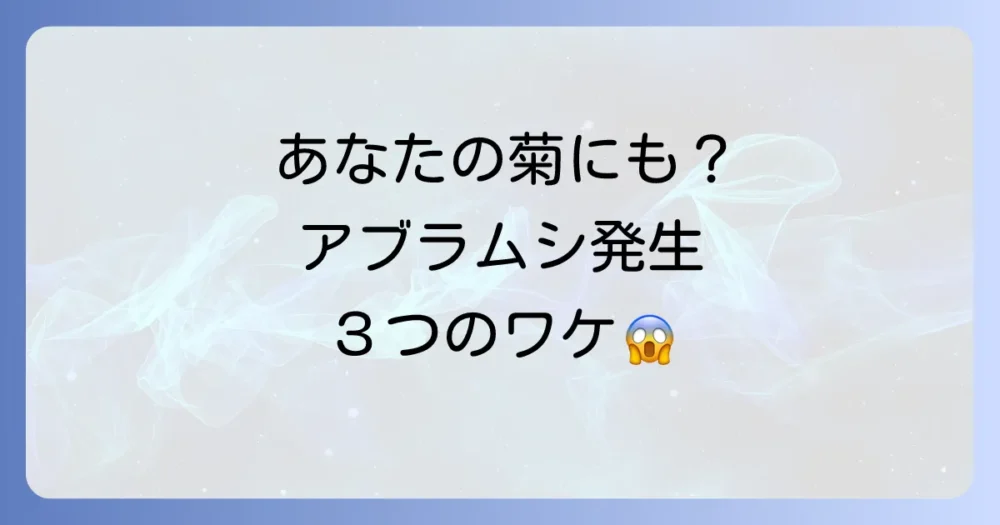 なぜ菊にアブラムシが?発生の3大原因