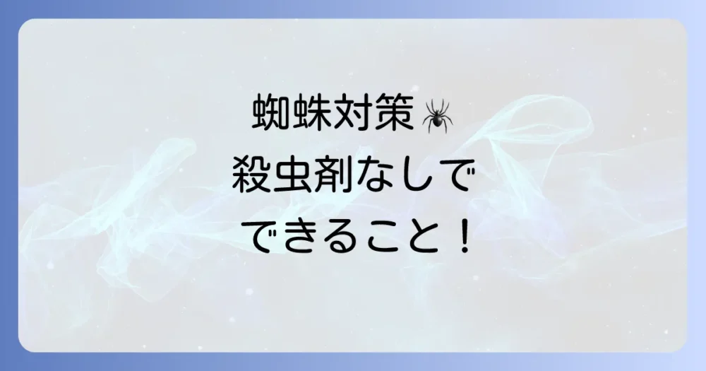 殺虫剤を使いたくない人向けの蜘蛛対策