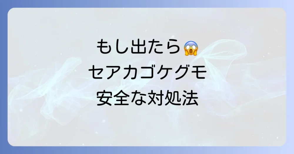 注意!毒蜘蛛(セアカゴケグモ)への対処法