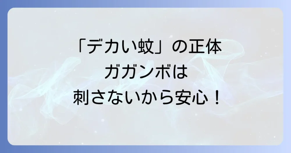 まずは安心!家の中のガガンボは人間に無害な虫です