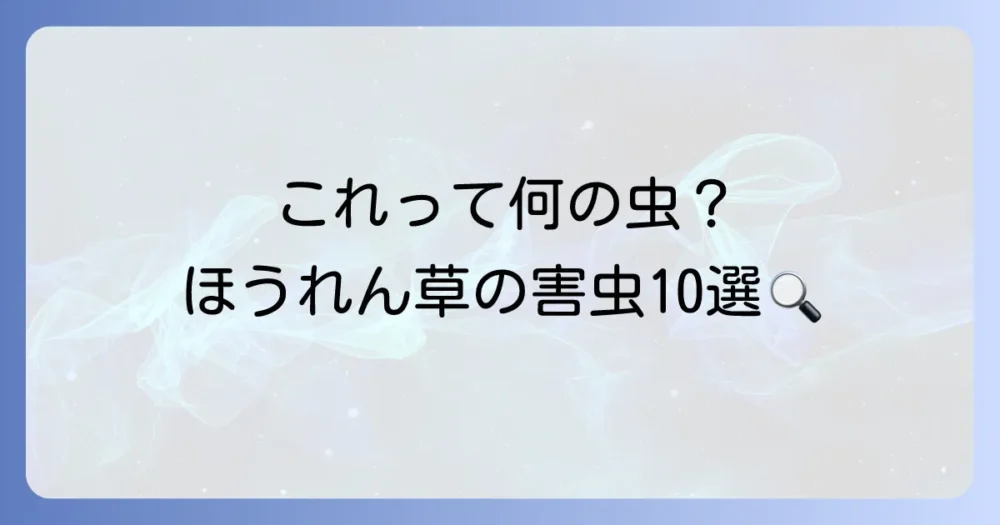 まずは確認!ほうれん草につく代表的な虫10選