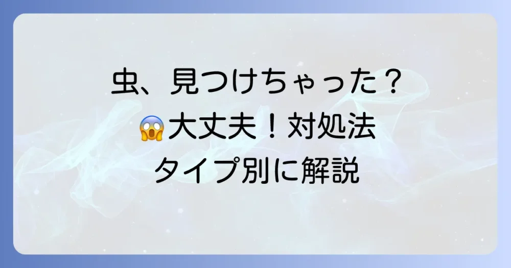 発生してしまった虫への対処法【状況別】
