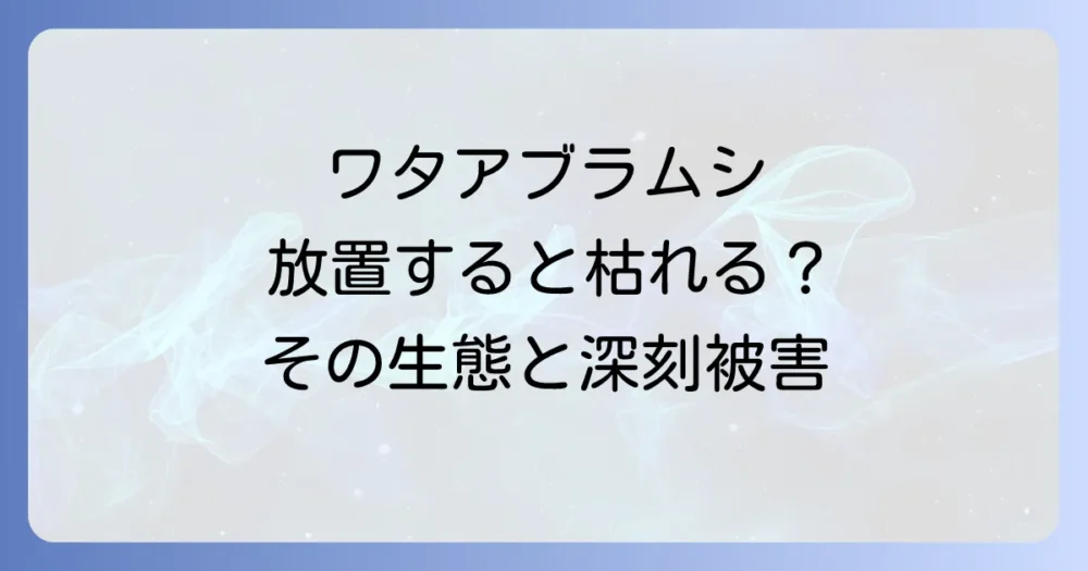 まずは敵を知ろう!ワタアブラムシの生態と被害