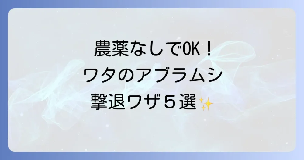 今すぐ試せる!ワタのアブラムシ駆除方法【農薬を使わない編】