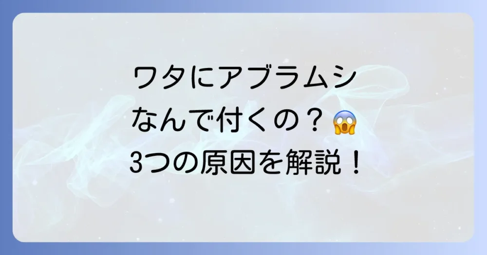 なぜ発生するの?ワタにアブラムシがつく3つの原因