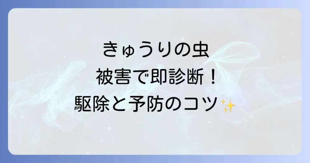 きゅうりの葉につく虫【完全ガイド】被害症状でわかる害虫10選と駆除・予防法