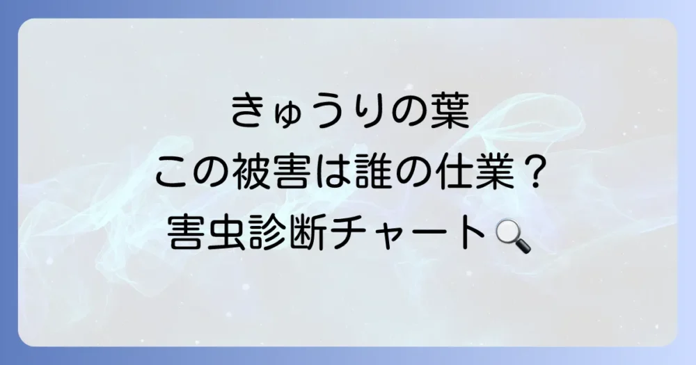 【早見表】きゅうりの葉の被害別！害虫診断チャート