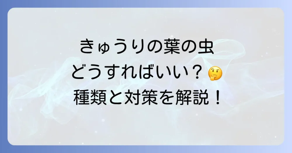 きゅうりの葉につく代表的な害虫と駆除・対策方法