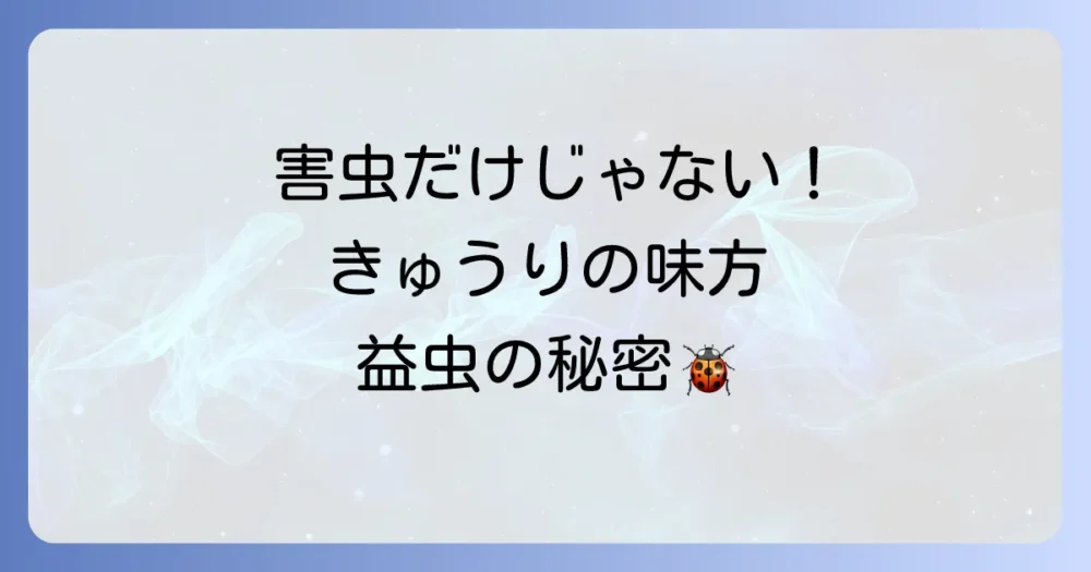 益虫もいる？きゅうりの栽培に役立つ虫
