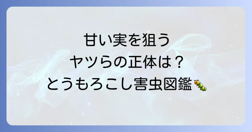 とうもろこしを襲う!知っておきたい代表的な害虫