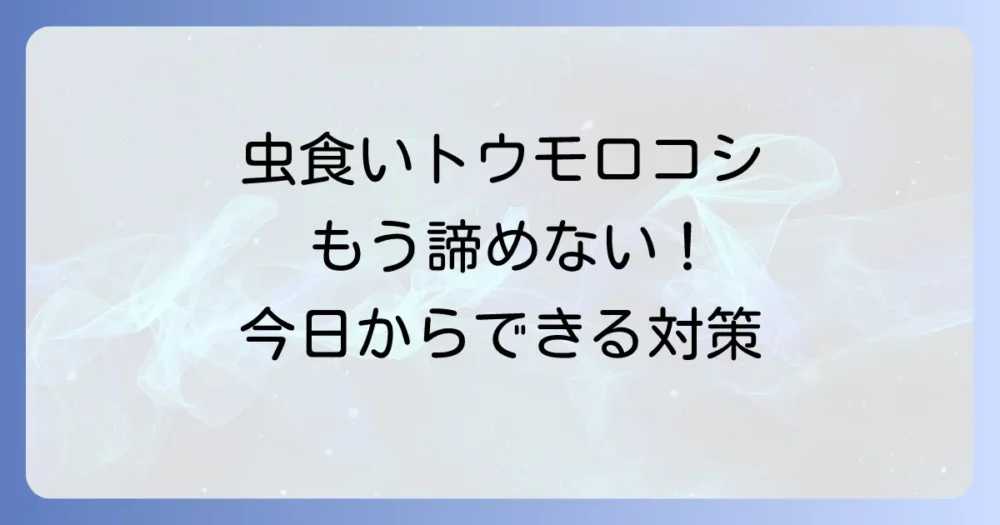 今日からできる!害虫対策の基本と予防法