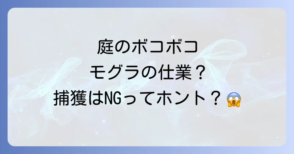 まずは知っておきたい！モグラ退治の基礎知識