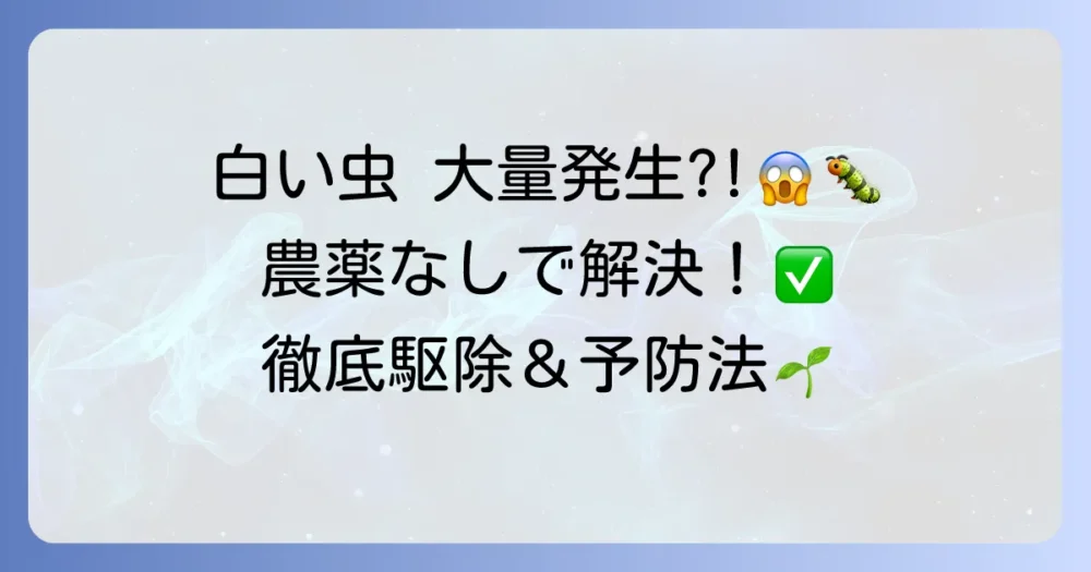 オンシツコナジラミの駆除方法｜農薬なしでもOK！原因と予防策も徹底解説