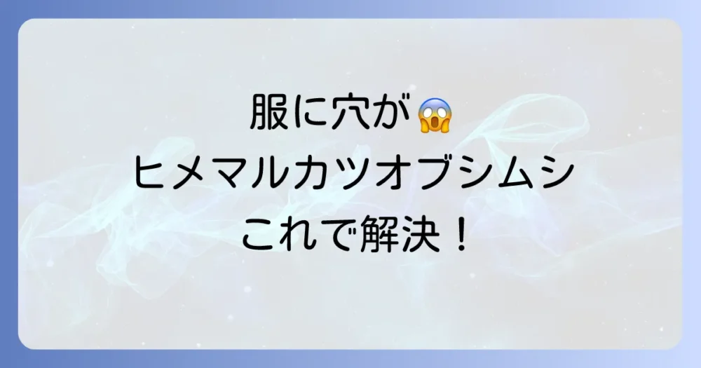 【完全版】ヒメマルカツオブシムシに効く防虫剤おすすめ10選!効果的な駆除と予防策
