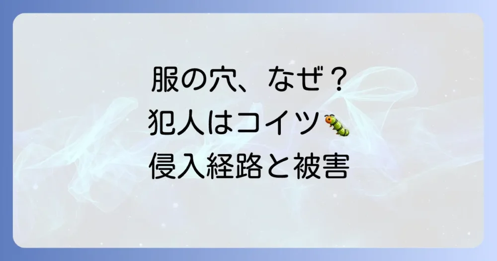 まずは敵を知ろう!ヒメマルカツオブシムシの生態と被害