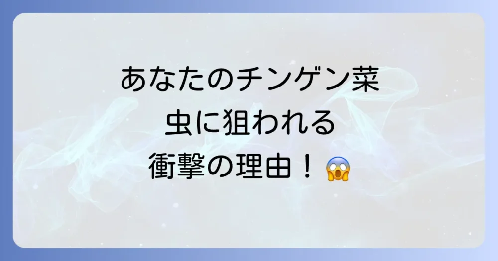チンゲン菜はなぜ害虫に狙われやすいのか?