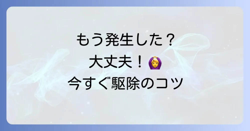 発生してしまった!害虫の駆除方法
