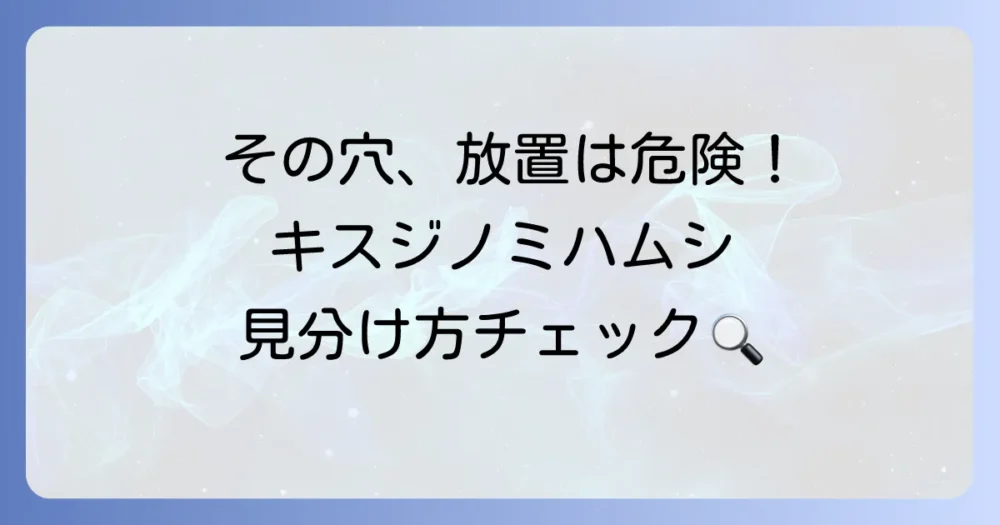 その穴、キスジノミハムシの仕業かも？被害の特徴と見分け方