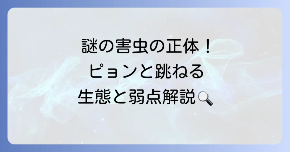 謎の害虫「キスジノミハムシ」の正体とは？