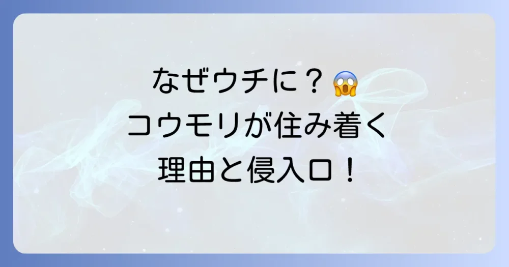 なぜ家に？コウモリが住み着く原因と侵入経路