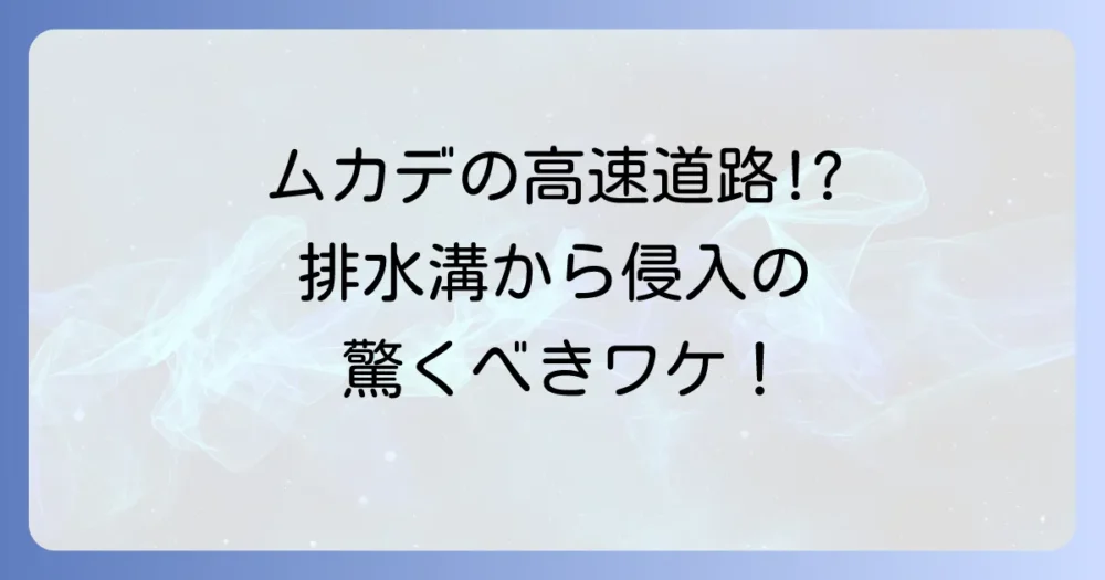 なぜ？ムカデが排水溝から侵入する衝撃の理由