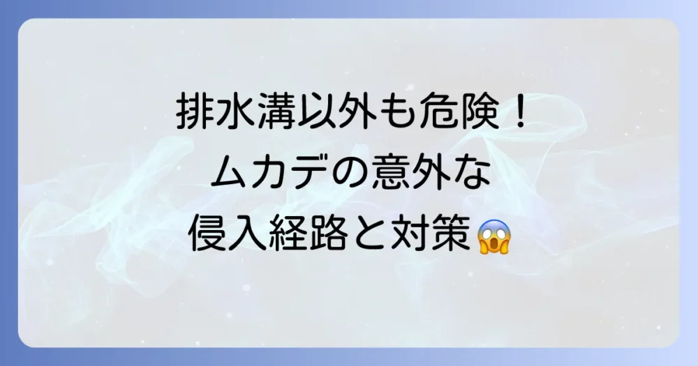 排水溝だけじゃない！見落としがちなムカデの侵入経路と対策