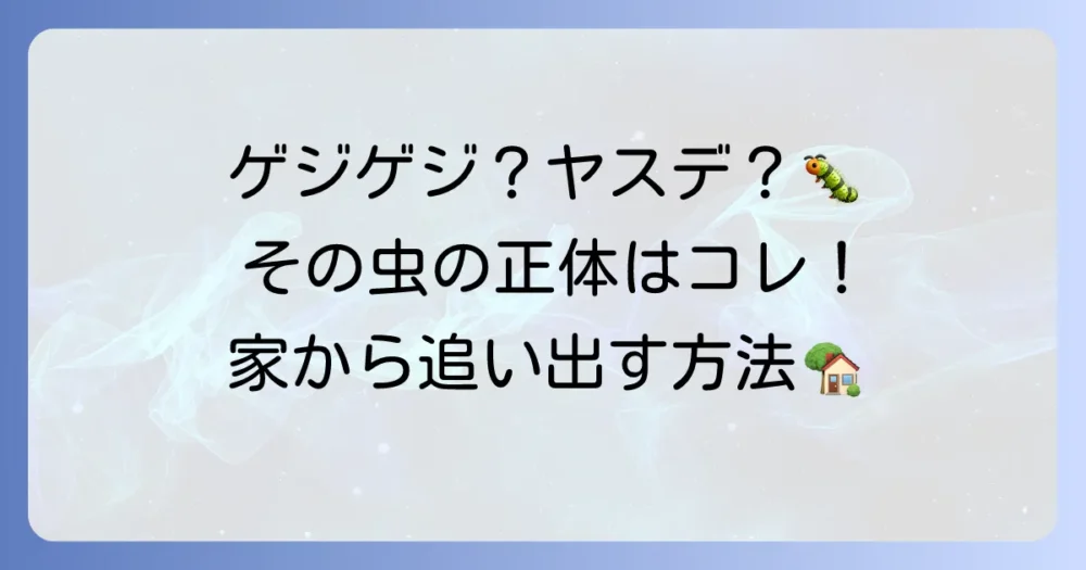 ゲジゲジみたいな虫の正体はヤスデかも？見分け方と今すぐできる駆除・対策法を徹底解説