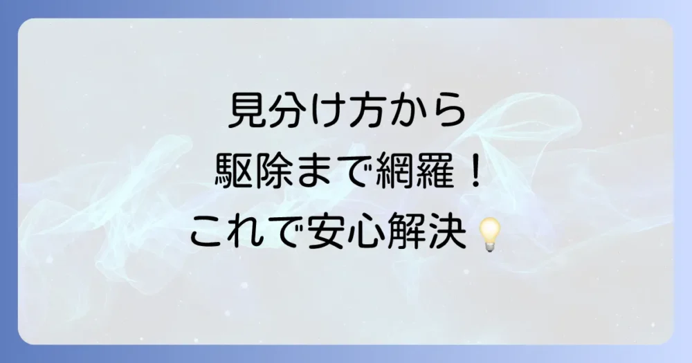 まとめ