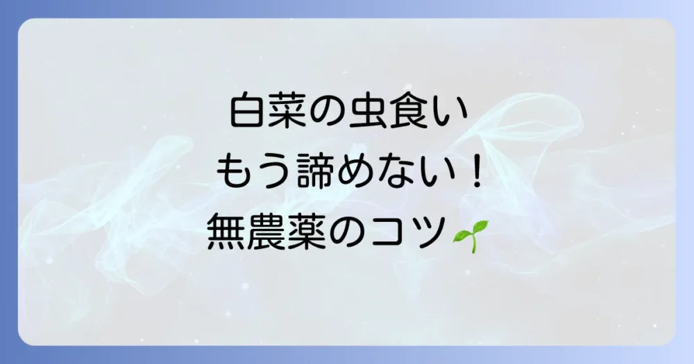 【完全版】白菜に付く害虫図鑑｜厄介な虫の種類と見分け方、無農薬でできる予防・駆除対策を徹底解説！