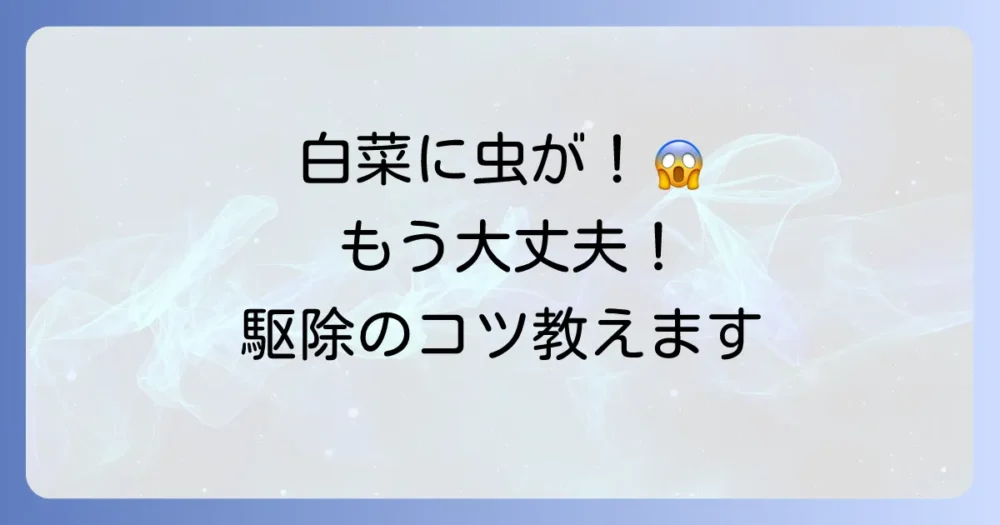 発生してしまった!白菜の害虫駆除方法