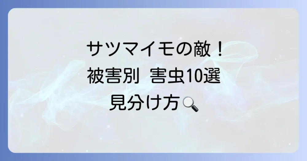 【被害別】サツマイモを襲う主な害虫10選と見分け方