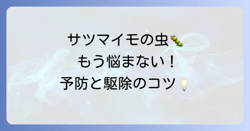 もう悩まない！サツマイモの虫対策【予防から駆除まで】