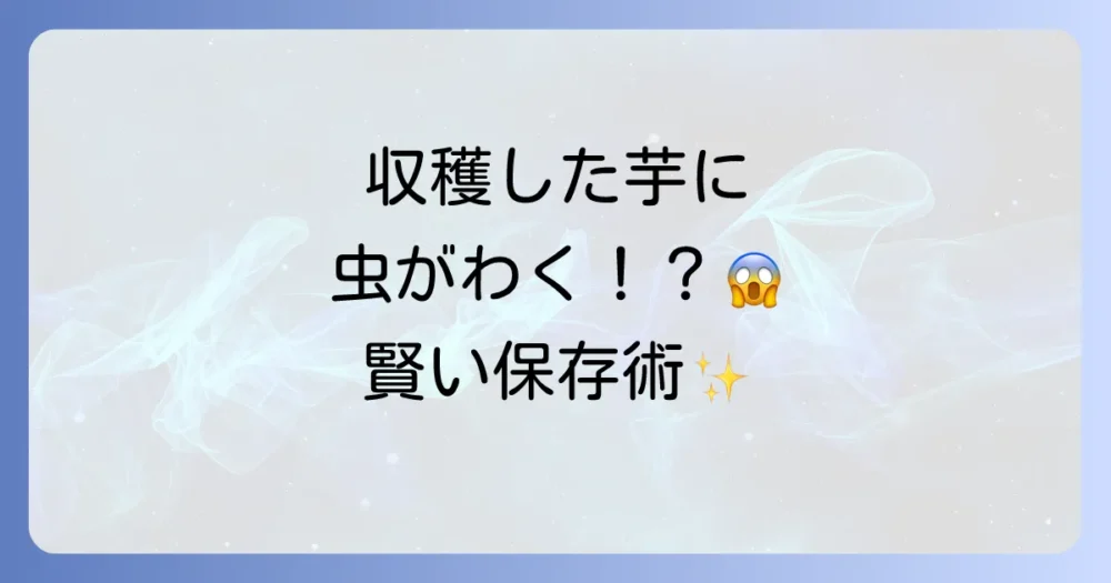 【収穫後も油断禁物】サツマイモの保存と虫対策