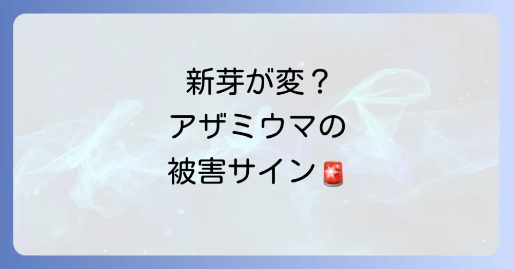 チャノキイロアザミウマとは?被害のサインを見逃さないで!