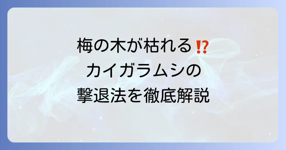 梅の木を害虫カイガラムシから守る！駆除方法から予防策まで徹底解説