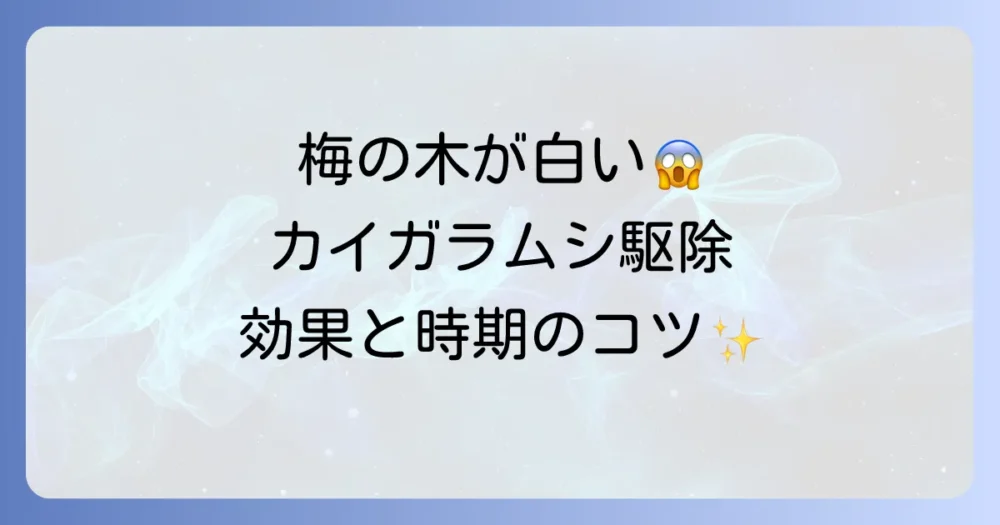 【必見】梅の木のカイガラムシ駆除！効果的な方法と時期