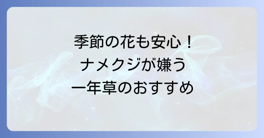 ナメクジに強い花【一年草編】