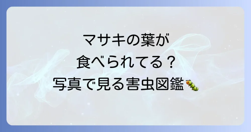 【写真でチェック】マサキに発生しやすい代表的な害虫5選